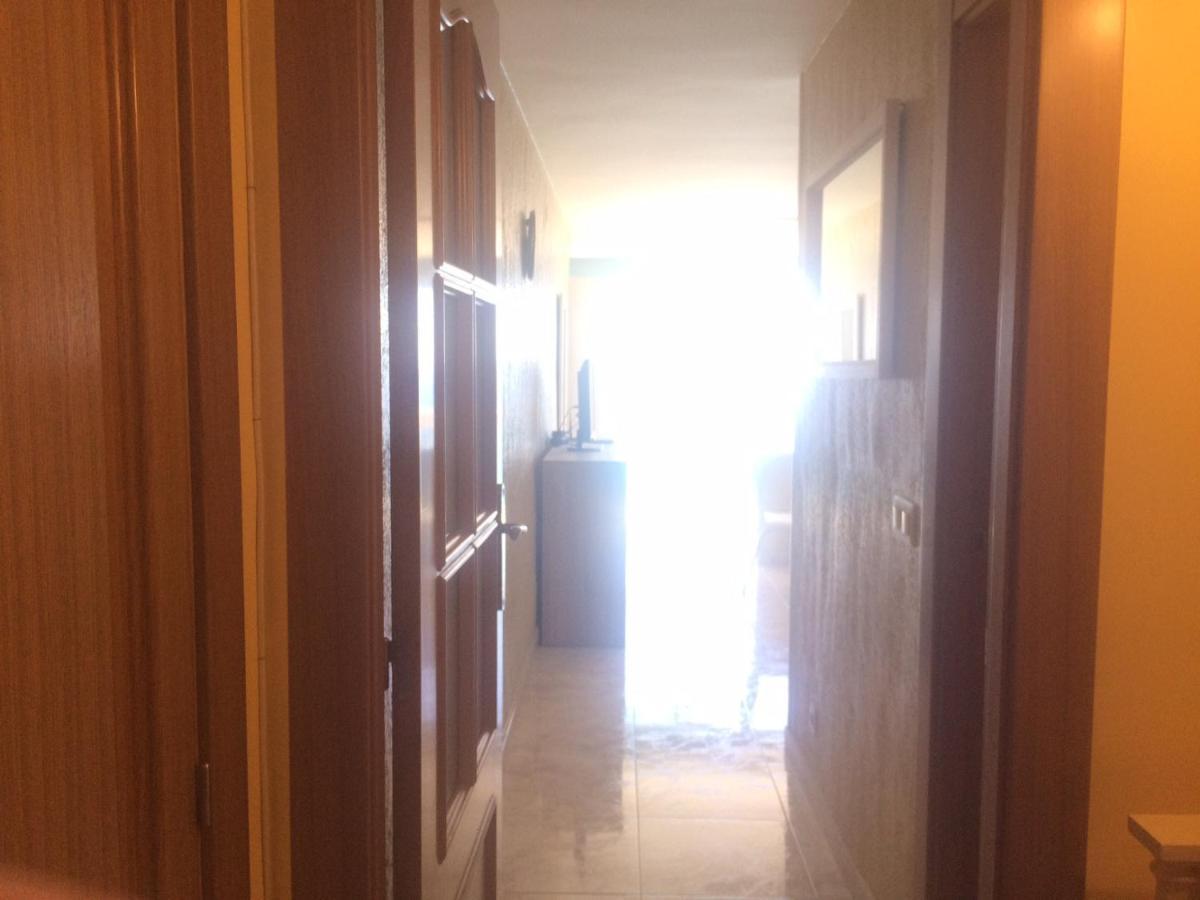 Estudio Las Palmeras 12 If 貝尼多姆 外观 照片